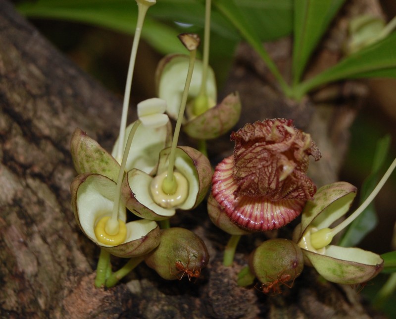 /wp-content/uploads/2020/10/DSC_4648cFlowers.jpg