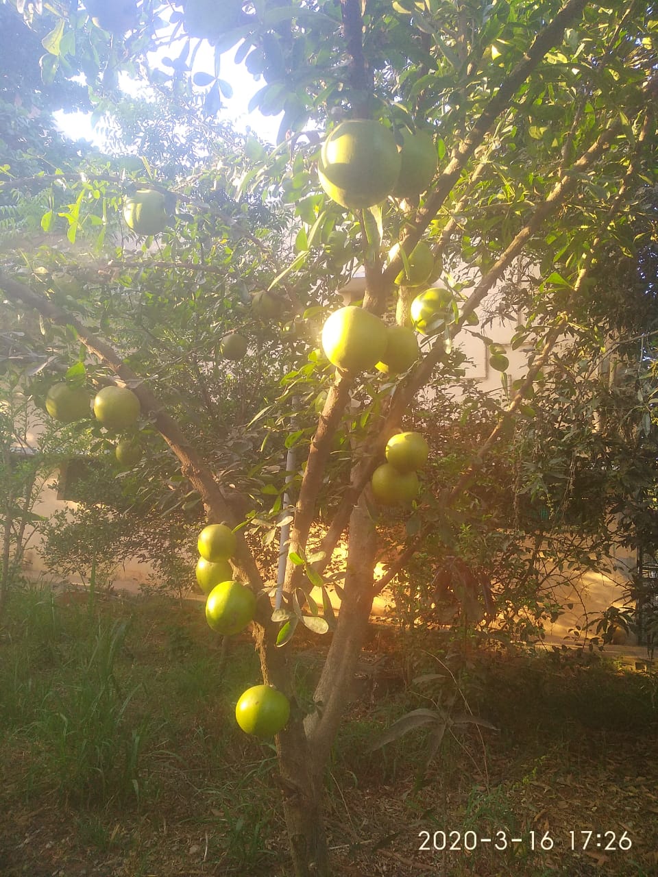 /wp-content/uploads/2020/10/IMG-20200318-WA0015.jpg