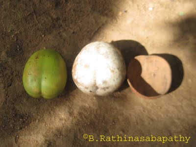/wp-content/uploads/2020/10/thiru%20vodu%20fruit%203.jpg